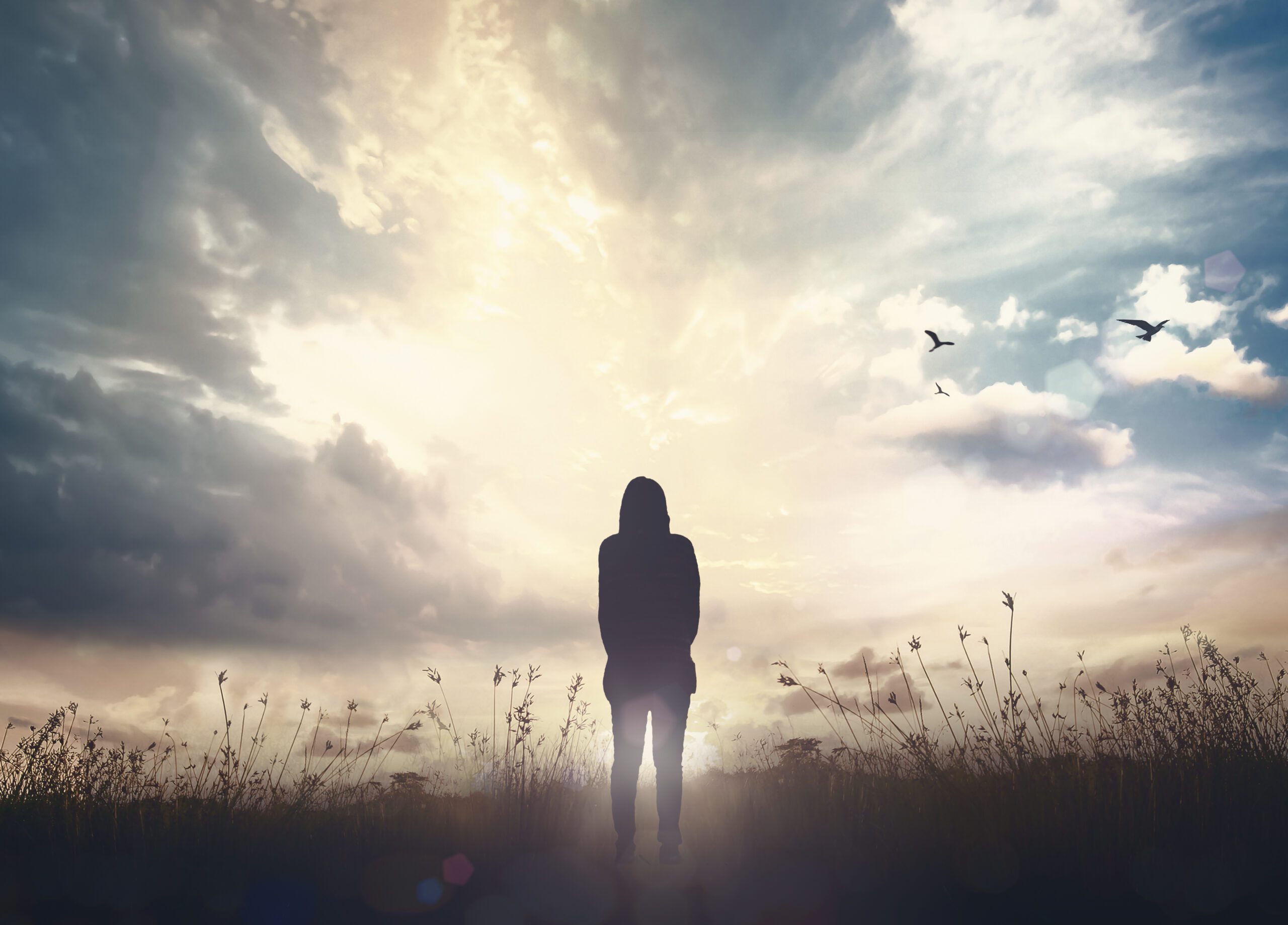 Silhouette of a woman standing on field